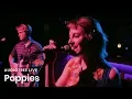 Download Lagu Poppies on Audiotree Live (Full Session)