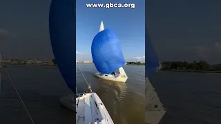 Texas Sailing #shorts