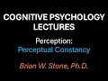 Cognitive Psychology - Perception Pt2