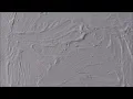 Paint Drying In Real Time 10 Hours