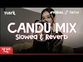 Download Lagu Candu - Veni Nur (Slowed \u0026 Reverb) YusriL TikTok