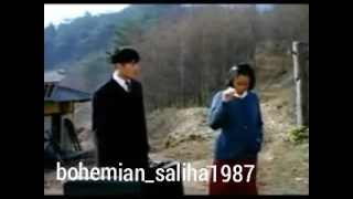 The Harmonium In My Memory 