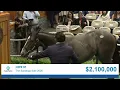 Into Mischief colt sells for 2 300 000 at The Saratoga Sale 2026