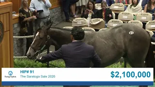 Into Mischief colt sells for 2 300 000 at The Saratoga Sale 2026
