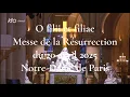 Lagu O filii et filiae - Messe de la Résurrection du 20 avril 2025 Notre-Dame de Paris