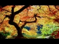Download Lagu U-Recken - Lost Paradise [HD]