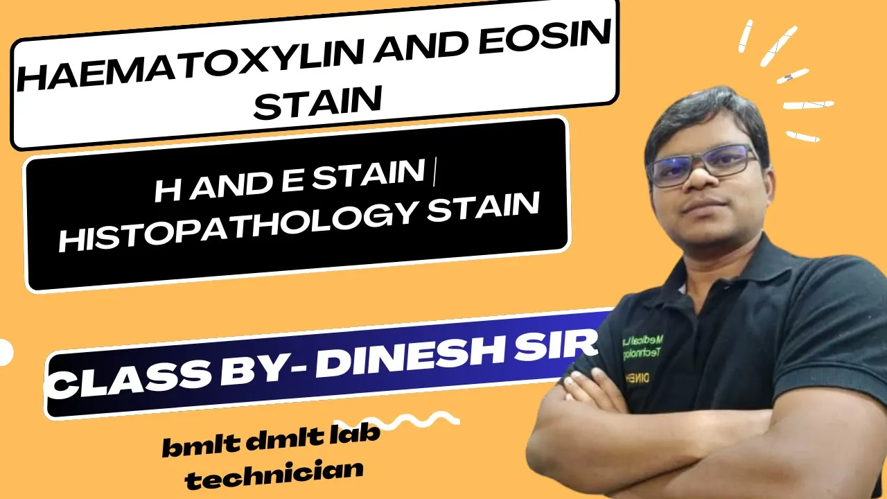 Haematoxylin and Eosin Stain | H and E stain | Histopathology stain Theory class