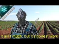 HOW TO FARM GEMS and have fun while at it Dark Souls 3