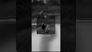 شپ روچ دل منی بیا ترا توارین Balochisong بلوچستان Song Balochistan Balochimusic Balochi 