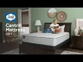 Sealy Cantrill Mattress