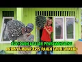 Download Lagu JANGAN KAGET MBAH ARUS SUDAH BISA PANEN DAUN BAWANG HIJO DAUN SEMANGAT MBAH ARIS