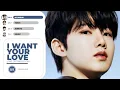Download Lagu TREASURE - I WANT YOUR LOVE | Line Distribution (Color Coded)