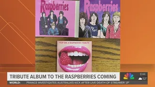 rock legends honor clevelands raspberries with star studded tribute album