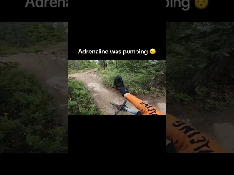 Video Thumbnail: This actually happened (via @Will Lewis/TT)