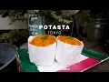 Download Lagu This Gorgeous Model Is Making Arguably The Best Sandwich In Asia