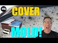 Hot Tub Cover Odor or Mold Here s How to Fix It