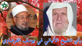 رأي الشيخ الألباني في يوسف القرضاوي 
