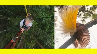 Probably our best adventure yet. 30m up with the birds.(Ep 310)