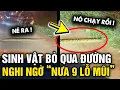 Download Lagu Người dân PHÁT HIỆN BÉ NA qua đường, nhìn cách bò KỲ LẠ khiến dân mạng NGHI CON NƯA | Tin 3 Phút