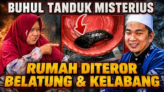 ADA BUHUL TANDUK MISTERIUS - RUMAH DITEROR BELATUNG & KELABANG !!