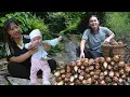 Download Lagu Selling taro at the market, extra income to raise children, life in the countryside, SURVIVAL ALONE