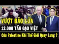 Download Lagu BÍ MẬT 12.000 Tấn Gạo: Vì Sao Chỉ Việt Nam Cứu Palestine Khi Thế Giới Quay Lưng?