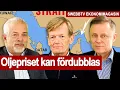 Download Lagu Recessionen breder ut sig och Camilla Kvartoft är klimataktivist i Ekonomimagasin 63