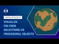170 Visualize Polygon Selections on Procedural Objects in Cinema 4D