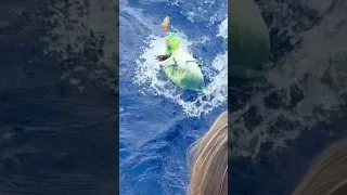 Nobody Expected Me To Do This 😳🐟 #sailingfamily #boatlife #fishing
