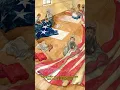 Battle of Fort McHenry - Myths and Facts Part 1