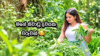 මගේ නිවාඩු දවසක වරුවක්… 🥰 Simple Sri Lankan Food Vlog - Bandifull 