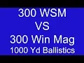 Part 2 300 WSM VS 300 Win Mag