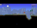 Terraria Explanation of Shaman Debuff