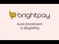BrightPay Payroll and Auto Enrolment Software - Demo