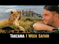 Lagu TANZANIA 🇹🇿 1 Week SAFARI | Serengeti, Zanzibar, Ngorongoro Crater