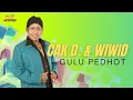 Download Lagu GULU PEDOT TANPA VOKAL  || KARAOKE VERSION SUPER MANTAAAF