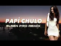 Download Lagu Elsen Pro - Papi Chulo (remix)