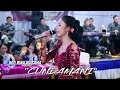 Download Lagu CUNDAMANI | VOC.Rina Aditama❃ SANGKARA MUSIC ❃ MARGO MULYO Audio ❃ DVS MEDIATAMA ❃