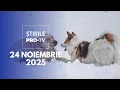 Lagu Știrile PRO TV - 24 Noiembrie 2025 | Lege pentru apărarea animalelor