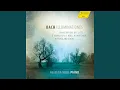 Download Lagu Was mir behagt, ist nur die muntre Jagd!, BWV 208, \