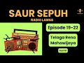 Download Lagu SAUR SEPUH - Telaga Rena Mahawijaya Episode 19 - 22 [Seri 10] [Sandiwara Radio]
