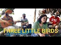 Download Lagu Three Little Birds - Bob Marley \u0026 The Wailers | Kuerdas Acoustic Cover