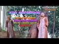 Download Lagu Karya : Halisa Amelia  Official Music Video kini aku sendiri