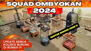 Download INILAH SEMUA KOLEKSI BURUNG SAYA DI TAHUN 2024❗MAKIN ANEH ANEH BURUNGNYA❓ MP3