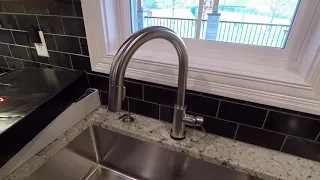 Delta Trinsic Touch20 Touch Faucet Issues 1 of 3