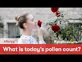 What is today s pollen count