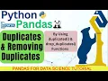 Duplicates And Removing Duplicates In Pandas Using duplicated drop duplicates Function