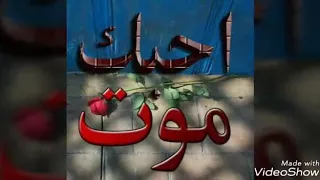 ردححححححح 07731418182 محمد كربلا اي 