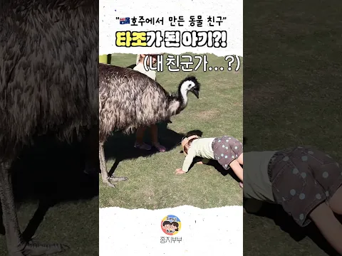 타조가 됐어요
