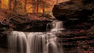 موسيقى رائعة لصفاء الذهن والاسترخاء 